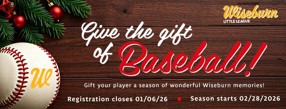 Give the gift of Baseball